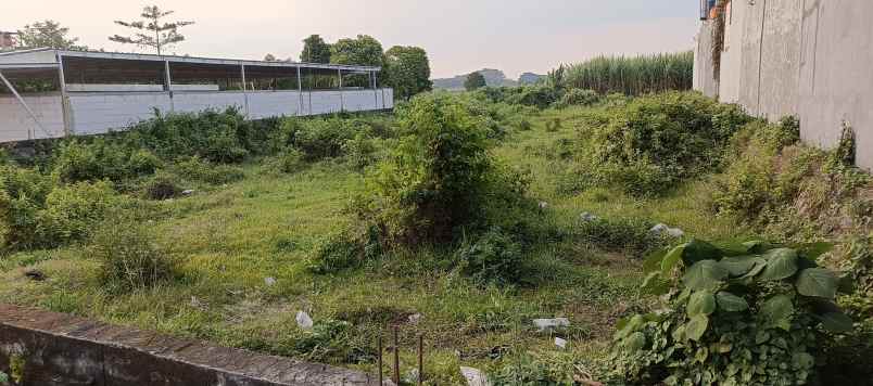 tanah shm pare kediri kampung inggris