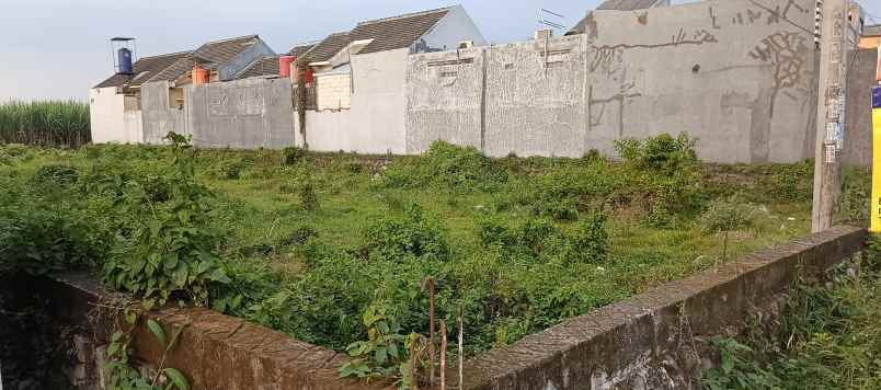 tanah shm pare kediri kampung inggris