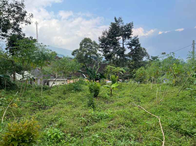 tanah strategis 1 menit dari kebun teh kemuning