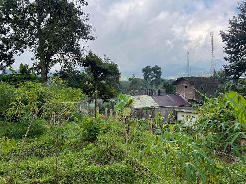 tanah strategis 1 menit dari kebun teh kemuning