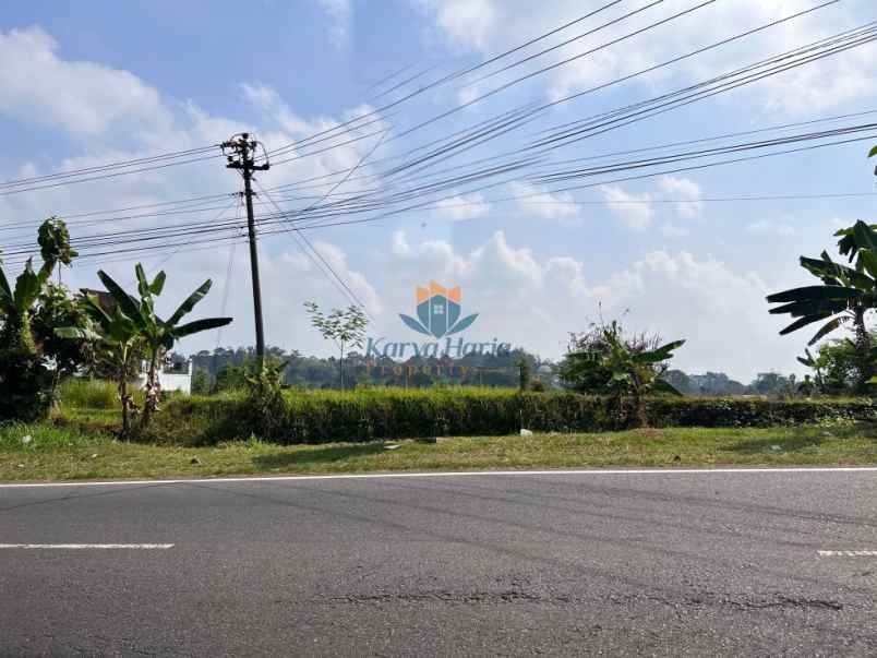 tanah strategis buka resto jl raya solo tawangmangu