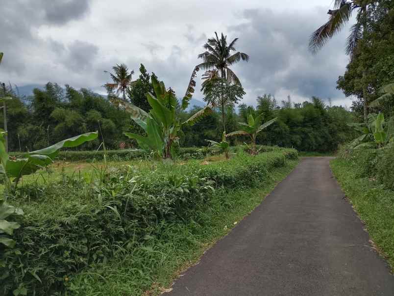 tanah strategis dekat wisata ciater subang