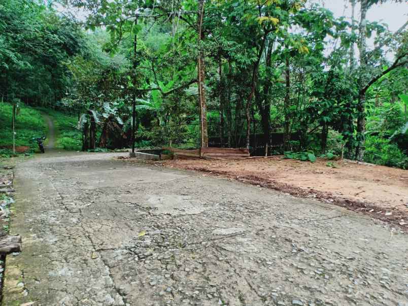 tanah timur kantor kec kerjo