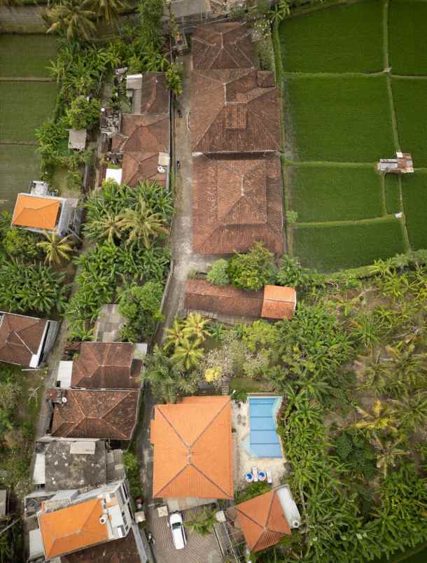 villa with a rice field view