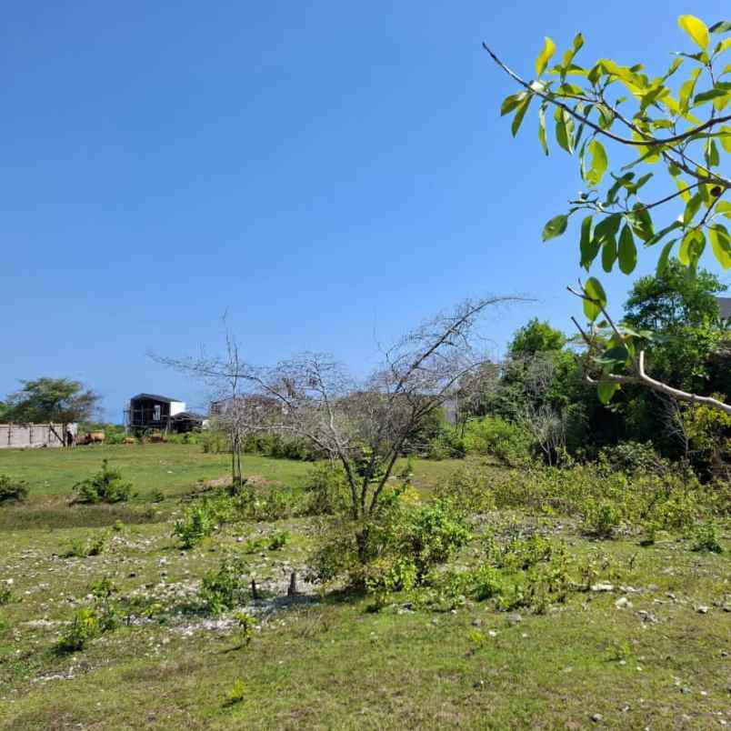 dijual 50 are jl tulip toyaning ungasan kuta selatan