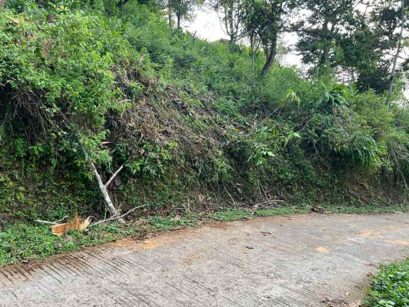 dijual kebun durian 2003m2 karanganyar timur