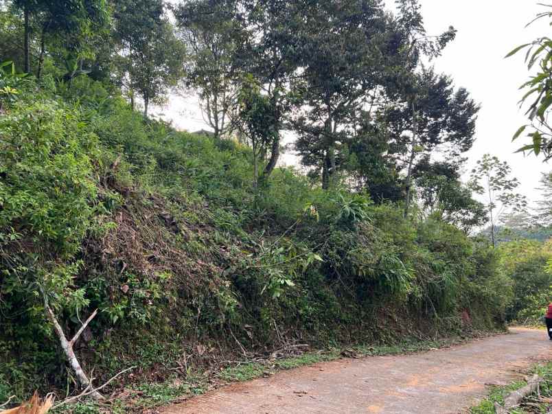 dijual kebun durian 2003m2 karanganyar timur