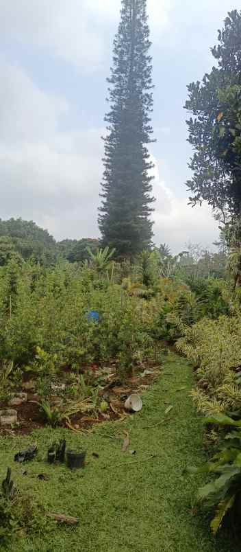 dijual lokasi tanah di cidokom puncak