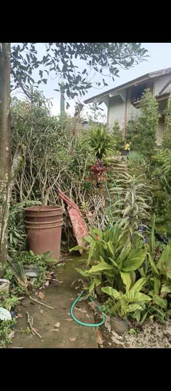 dijual lokasi tanah di cidokom puncak