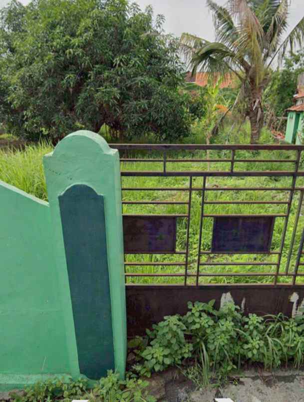dijual murah tanah strategis di pegandon kendal