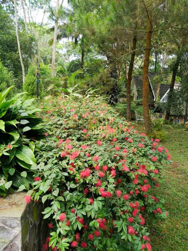 dijual ruko gudang kantor girikerto