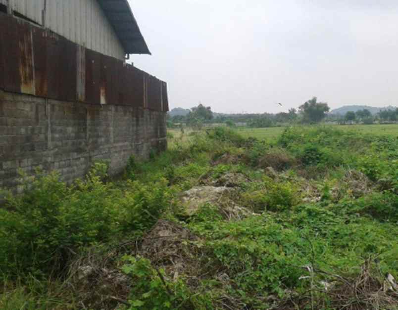 dijual ruko gudang kantor suci kebomas manyar kab gresik