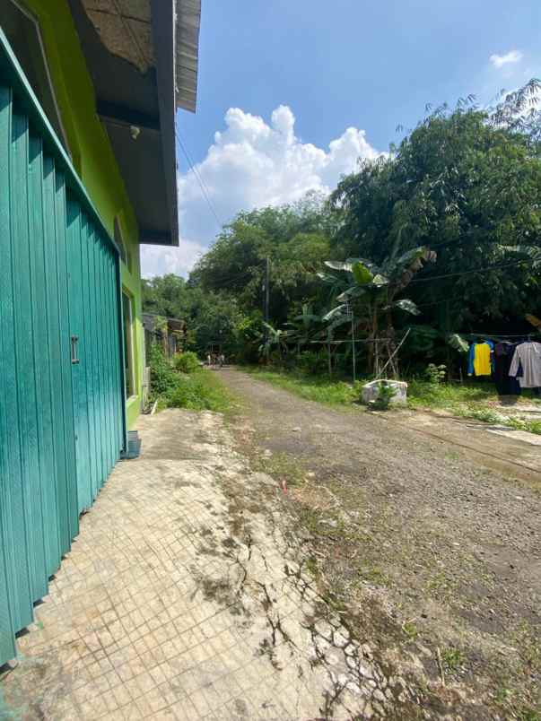 dijual rumah ciampea bogor