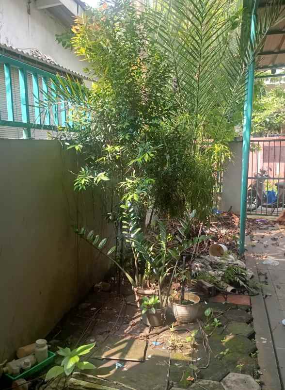 dijual rumah cilodong kalimulya depok