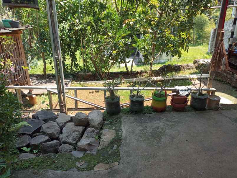 dijual rumah dijual rumah di pakintelan