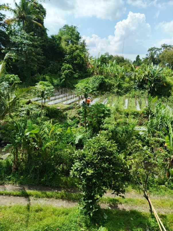 dijual rumah jl gading raya palgading