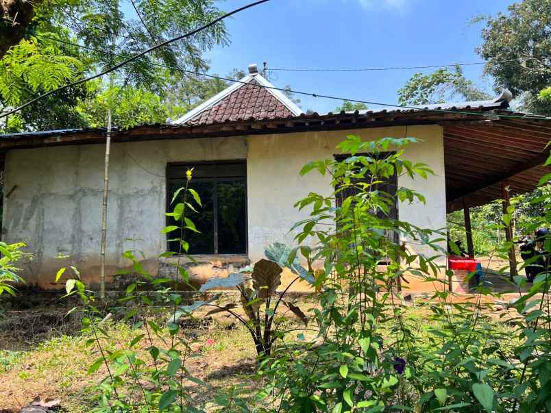 dijual rumah joglo 660m mojogedang karanganyar