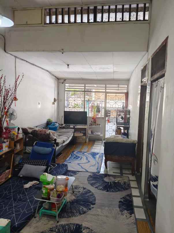 dijual rumah kelapa kopyor kelapa gading