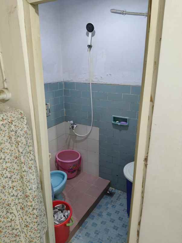 dijual rumah kelapa kopyor kelapa gading