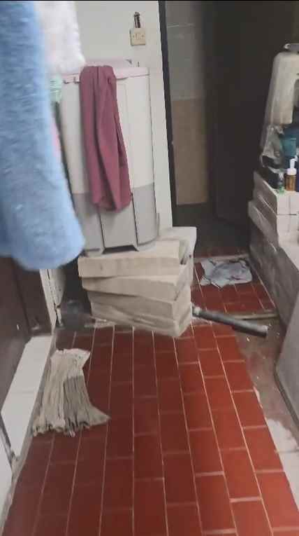 dijual rumah kelapa puyuh kelapa gading