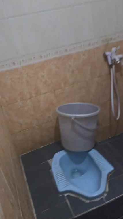 dijual rumah kelapa puyuh kelapa gading