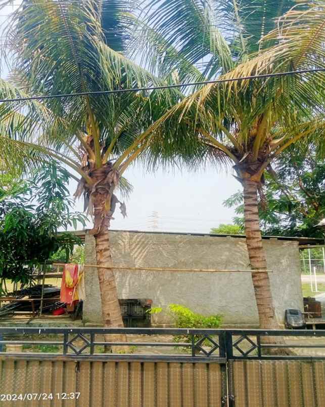 dijual rumah perumahan taman raya rajeg