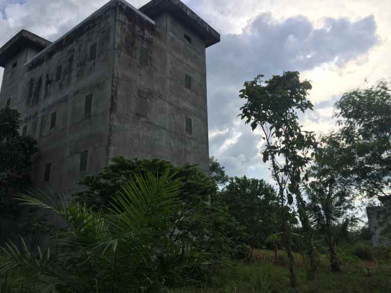 dijual rumah sarang walet