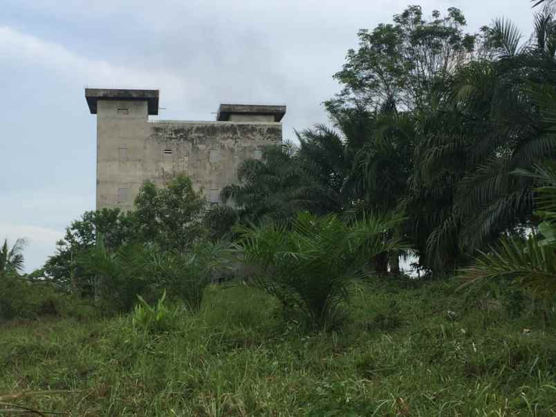 dijual rumah sarang walet