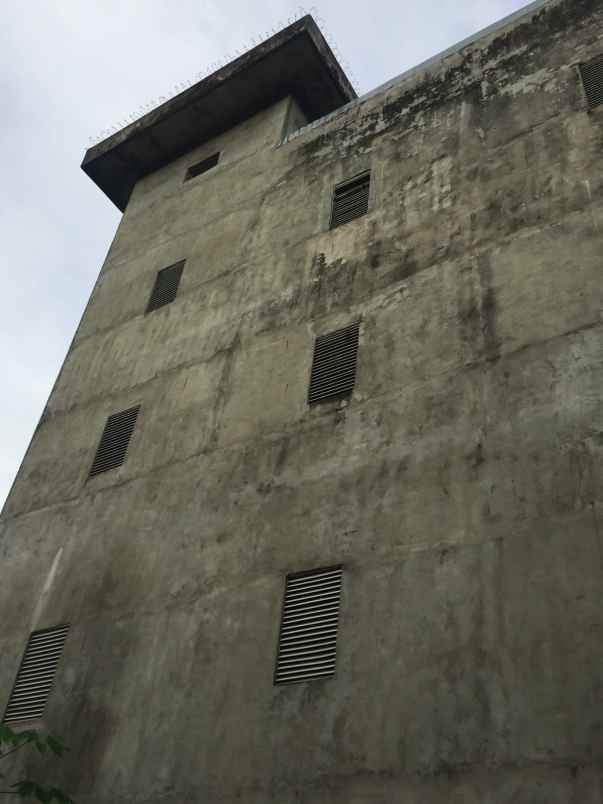 dijual rumah sarang walet