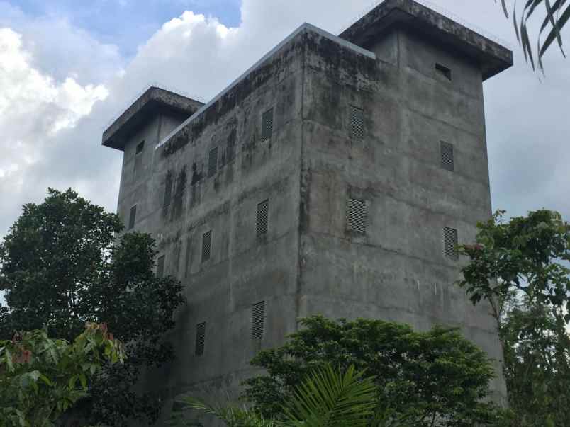 dijual rumah sarang walet