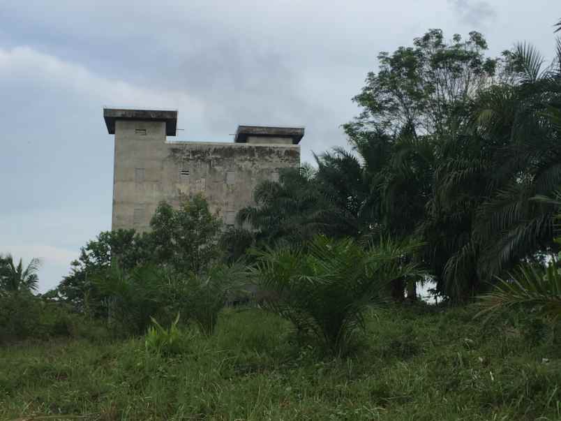 dijual rumah sarang walet