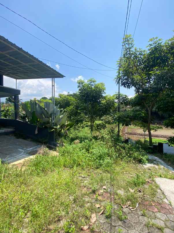 dijual rumah sinar sari dramaga bogor