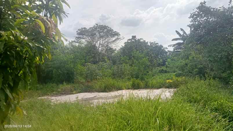 dijual tabah 2 4 ha setu bekasi