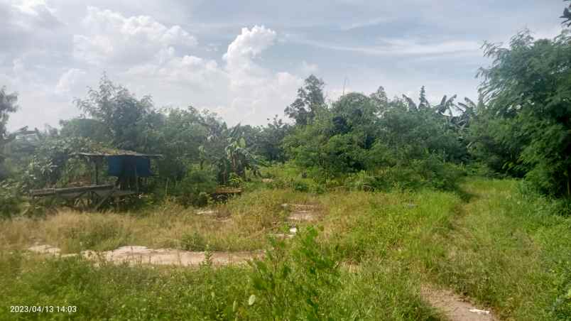 dijual tabah 2 4 ha setu bekasi