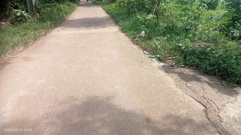 dijual tabah 2 4 ha setu bekasi