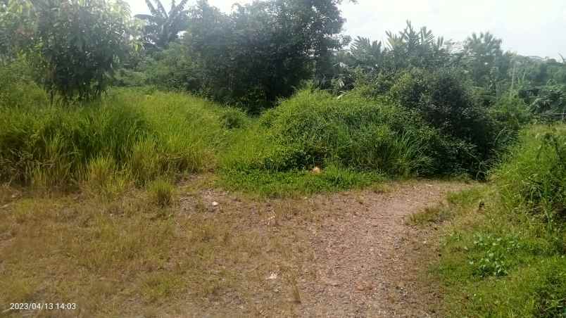 dijual tabah 2 4 ha setu bekasi