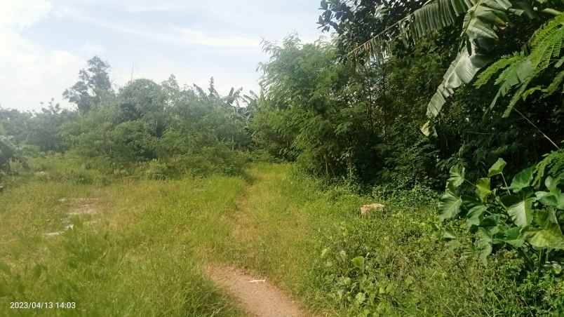 dijual tabah 2 4 ha setu bekasi