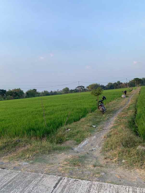 dijual tanah 5 menit ke tol sragen