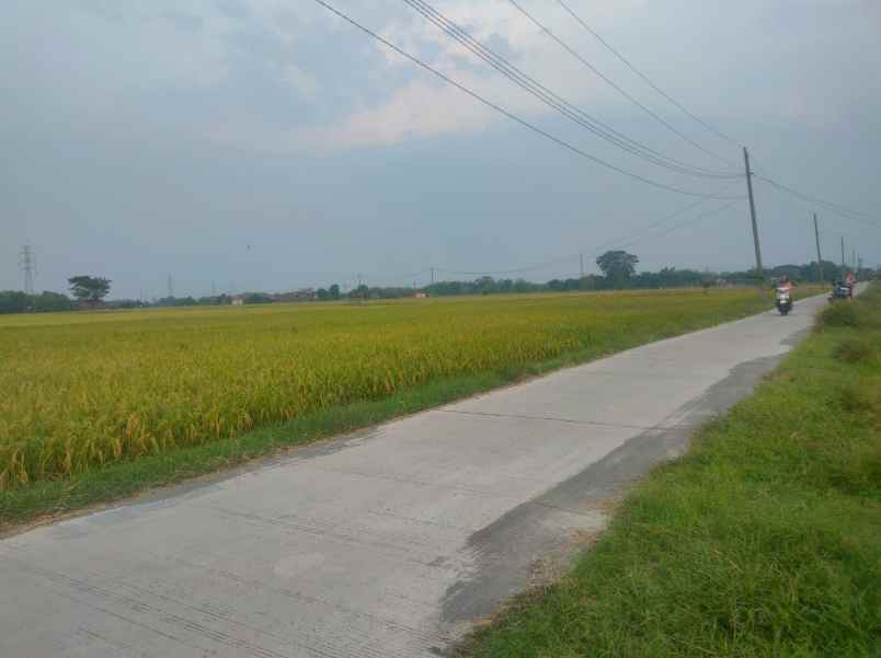 dijual tanah 5 menit ke tol sragen