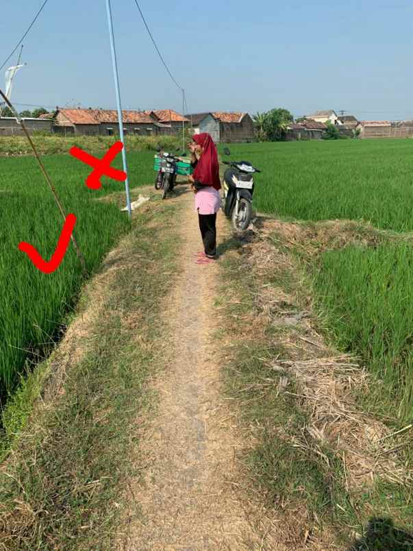 dijual tanah 5 menit ke tol sragen