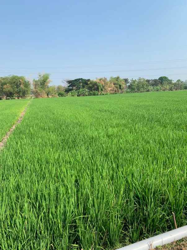 dijual tanah 5 menit ke tol sragen