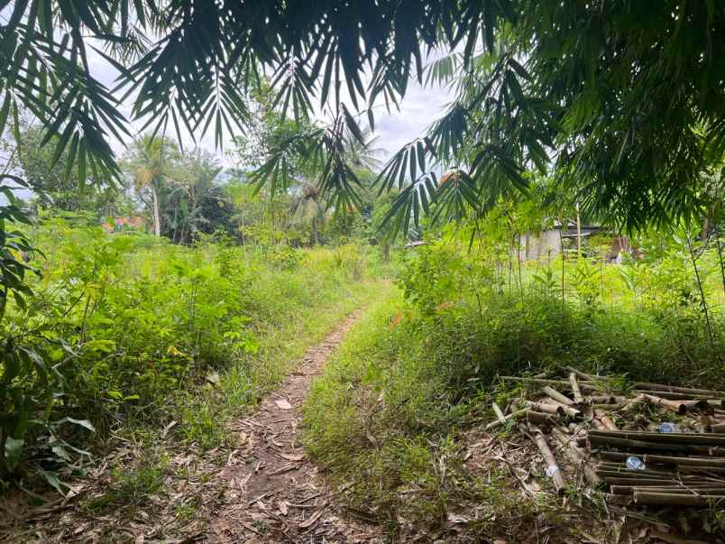 dijual tanah ajb luas 211 di parung panjang bogor