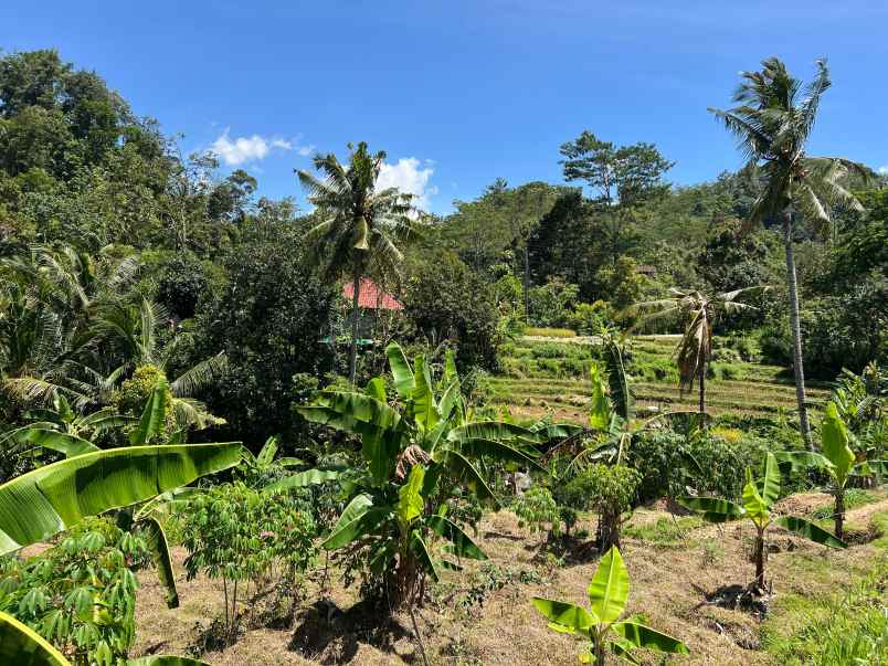 dijual tanah balong jatiyoso karanganyar