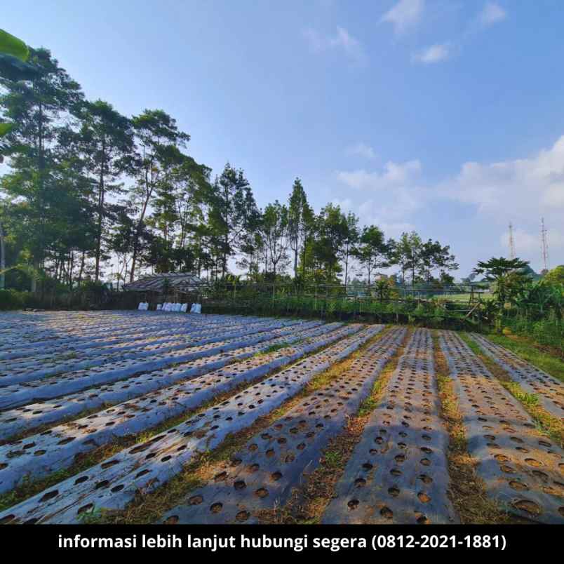 dijual tanah bandung cikalong wetan