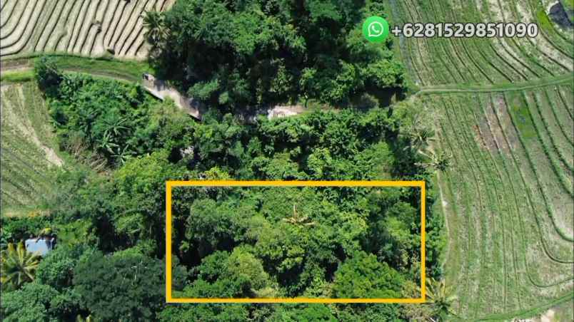 dijual tanah banjar bebali desa berembeng