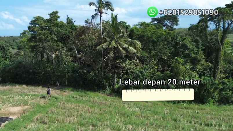 dijual tanah banjar bebali desa berembeng
