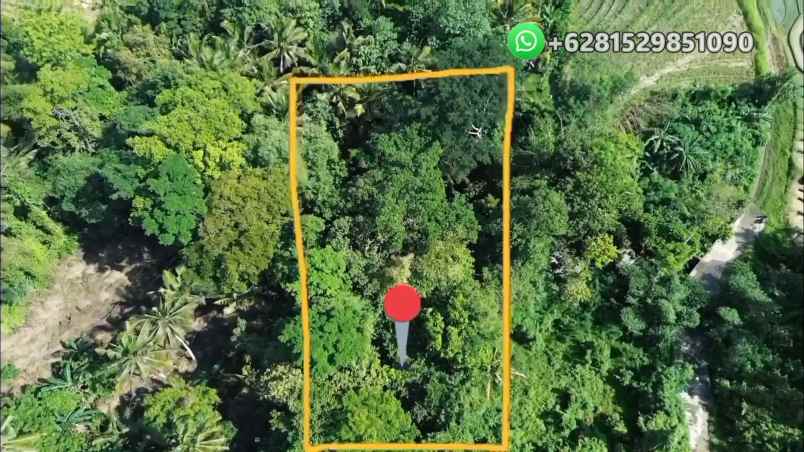 dijual tanah banjar bebali desa berembeng