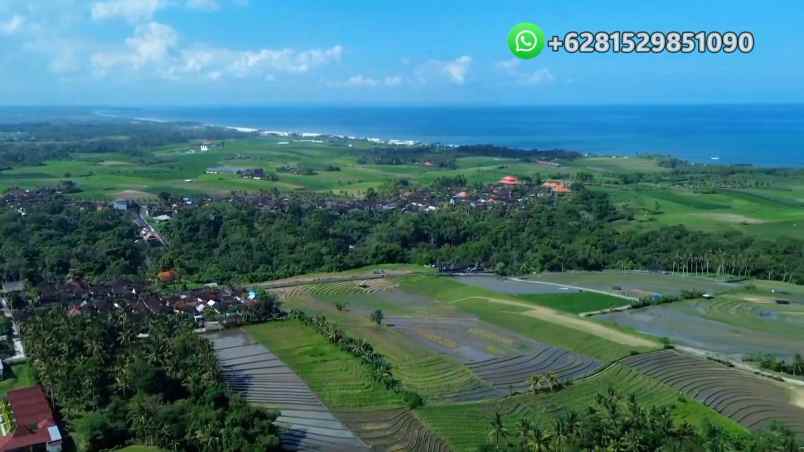 dijual tanah banjar bebali desa berembeng