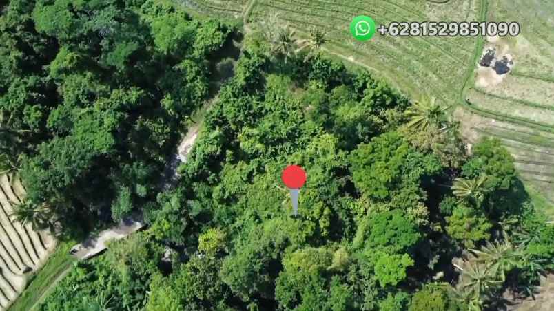 dijual tanah banjar bebali desa berembeng