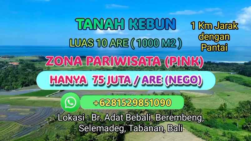 dijual tanah banjar bebali desa berembeng